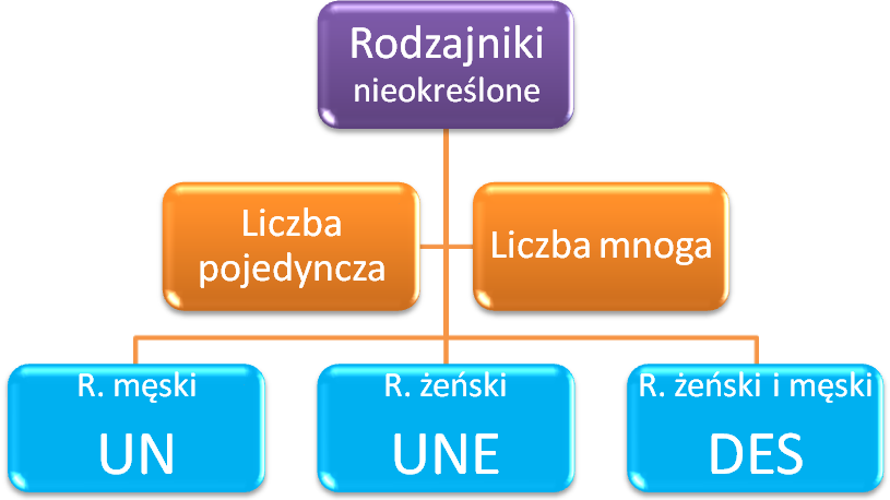 Rodzajniki nieokreślone