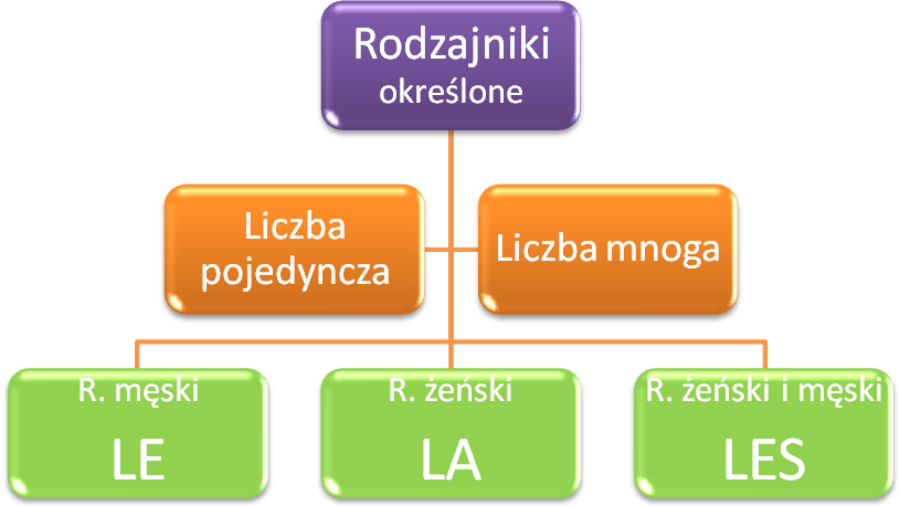 Rodzajniki określone